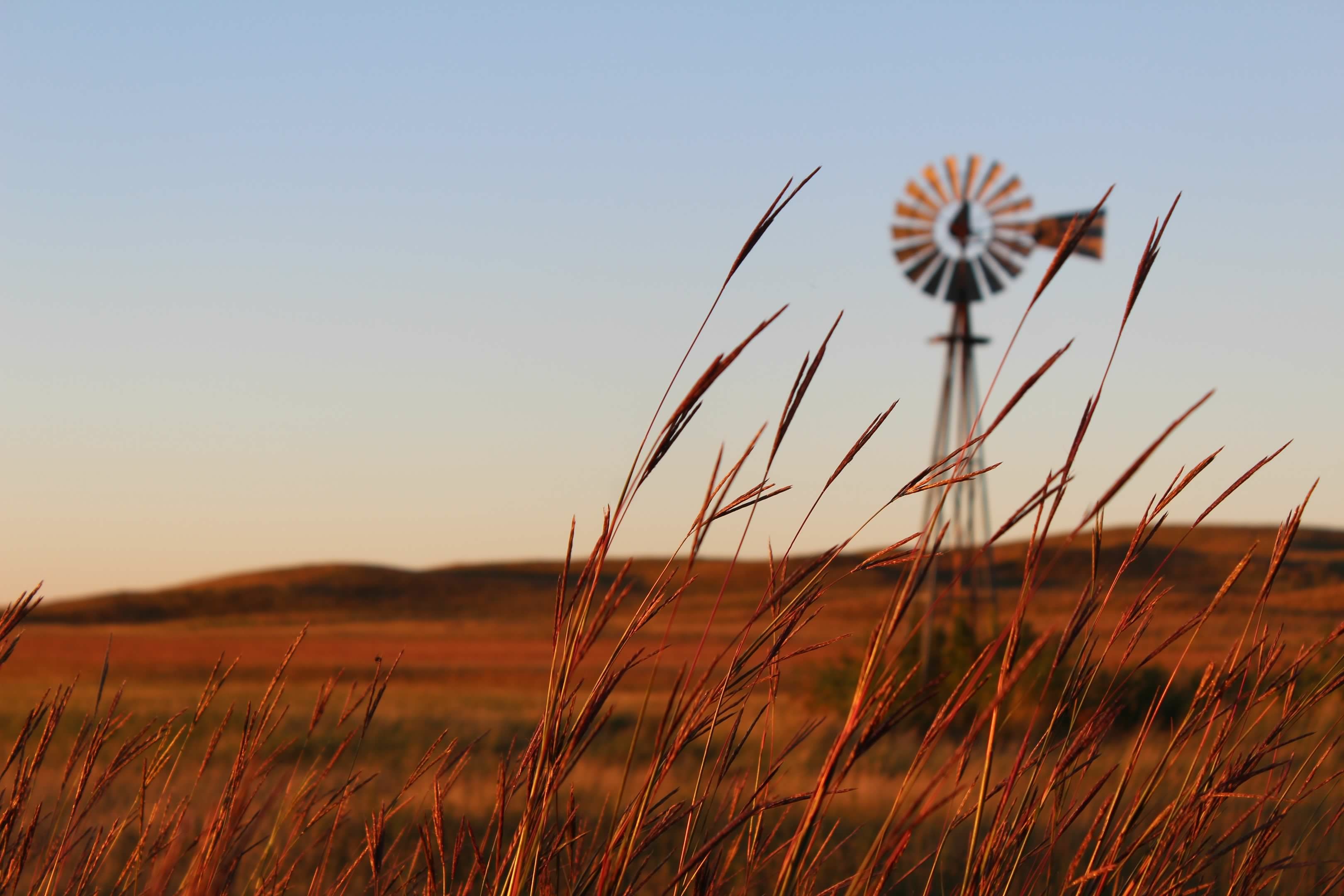 Nebraska Ag