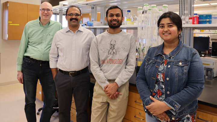From Nebraska Today: A research team led by entomologist Joe Louis (second from left), identified genomic details important for strengthening sorghum's natural defenses against the fall armyworm. From left are Scott Sattler, genomics scientist with the U.S. Department of Agriculture’s Agricultural Research Service; Louis, Harold W. Eberhard Professor of Agricultural Entomology; Sanket Shinde, a recent doctoral graduate from the Department of Entomology; and Pritha Kundu, a postdoctoral research associate wh
